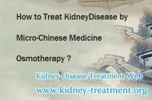 How to Treat Kidney Disease by Micro-Chinese Medicine Osmotherapy