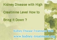 Kidney Disease with High Creatinine Level How to Bring It Down