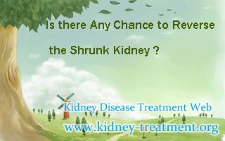 Is there Any Chance to Reverse the Shrunk Kidney