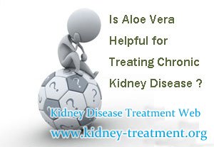 Is Aloe Vera Helpful for Treating Chronic Kidney Disease