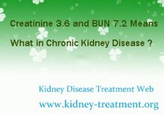 Creatinine 3.6 and BUN 7.2 Means What in Chronic Kidney Disease