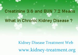 Creatinine 3.6 and BUN 7.2 Means What in Chronic Kidney Disease