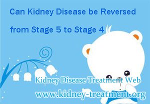 Can Kidney Disease be Reversed from Stage 5 to Stage 4