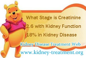 What Stage is Creatinine 2.6 with Kidney Function 18% in Kidney Disease