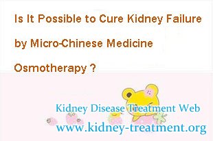 Is It Possible to Cure Kidney Failure by Micro-Chinese Medicine Osmotherapy