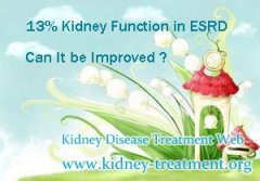 13% Kidney Function in ESRD Can It be Improved