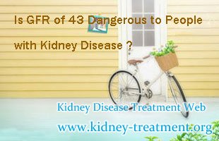 Kidney Disease basics,GFR of 43,Kidney Disease