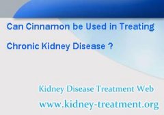 Can Cinnamon be Used in Treating Chronic Kidney Disease