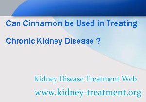 Can Cinnamon be Used in Treating Chronic Kidney Disease