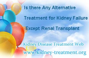 Is there Any Alternative Treatment for Kidney Failure Except Renal Transplant