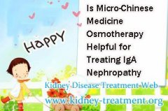 Is Micro-Chinese Medicine Osmotherapy Helpful for Treating IgA Nephropathy