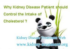 Why Kidney Disease Patient should Control the Intake of Cholesterol
