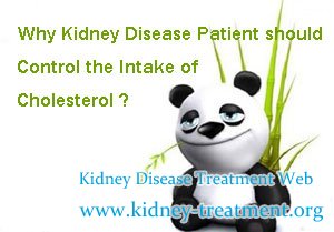 Why Kidney Disease Patient should Control the Intake of Cholesterol