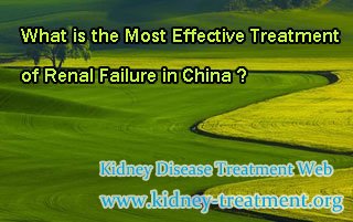 What is the Most Effective Treatment of Renal Failure in China