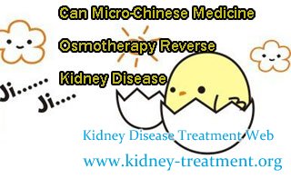 Can Micro-Chinese Medicine Osmotherapy Reverse Kidney Disease
