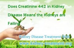 Does Creatinine 442 in Kidney Disease Means the Kidneys are Failing
