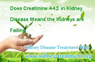 Does Creatinine 442 in Kidney Disease Means the Kidneys are Failing