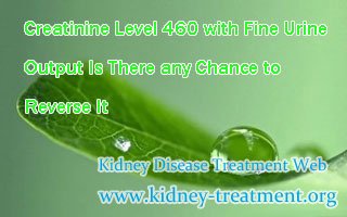 Creatinine Level 460 with Fine Urine Output Is There any Chance to Reverse It