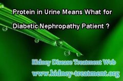 Protein in Urine Means What for Diabetic Nephropathy Patient