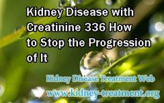 Kidney Disease with Creatinine 336 How to Stop the Progression of It