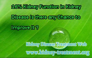 16% Kidney Function in Kidney Disease Is there any Chance to Improve It