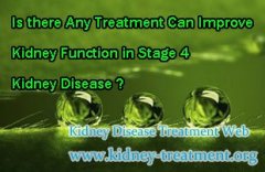 Is there Any Treatment Can Improve Kidney Function in Stage 4 Kidney Disease