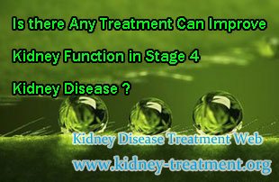 Is there Any Treatment Can Improve Kidney Function in Stage 4 Kidney Disease