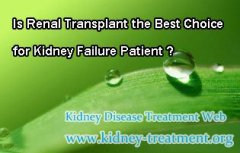 Is Renal Transplant the Best Choice for Kidney Failure Patient