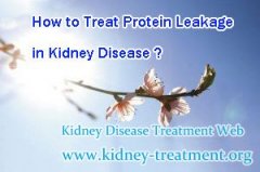 How to Treat Protein Leakage in Kidney Disease