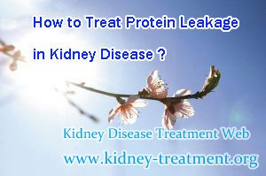 How to Treat Protein Leakage in Kidney Disease