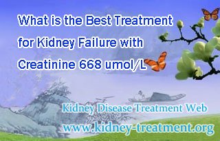 What is the Best Treatment for Kidney Failure with Creatinine 668 umol/L