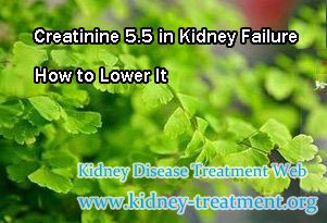 Creatinine 5.5 in Kidney Failure How to Lower It