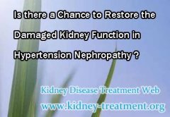 Is there a Chance to Restore the Damaged Kidney Function in Hypertension Nephropathy