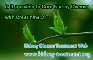 Is It possible to Cure Kidney Disease with Creatinine 2.7