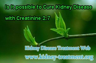 Is It possible to Cure Kidney Disease with Creatinine 2.7