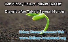 Can Kidney Failure Patient Get Off Dialysis after Taking Several Months
