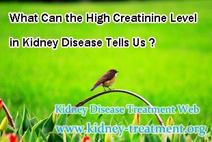 What Can the High Creatinine Level in Kidney Disease Tells Us