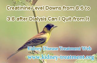 Creatinine Level Downs from 8.6 to 3.8 after Dialysis Can I Quit from It