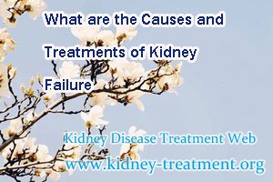 What are the Causes and Treatments of Kidney Failure