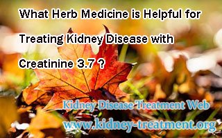 What Herb Medicine is Helpful for Treating Kidney Disease with Creatinine 3.7