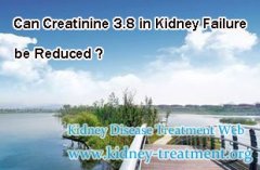 Can Creatinine 3.8 in Kidney Failure be Reduced
