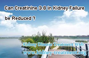 Kidney Failure Treatment,Kidney Failure,Creatinine 3.8