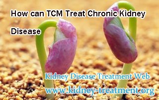 How can TCM Treat Chronic Kidney Disease