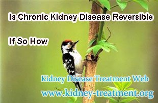 Is Chronic Kidney Disease Reversible, If So How