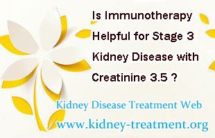 Is Immunotherapy Helpful for Stage 3 Kidney Disease with Creatinine 3.5
