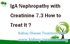 IgA Nephropathy with Creatinine 7.3 How to Treat It