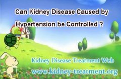 Can Kidney Disease Caused by Hypertension be Controlled