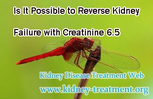 Is It Possible to Reverse Kidney Failure with Creatinine 6.5