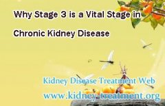 Why Stage 3 is a Vital Stage in Chronic Kidney Disease