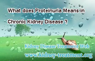 What does Proteinuria Means in Chronic Kidney Disease